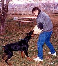Zach - My father,Owned by Lori Snyder