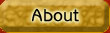 about the author