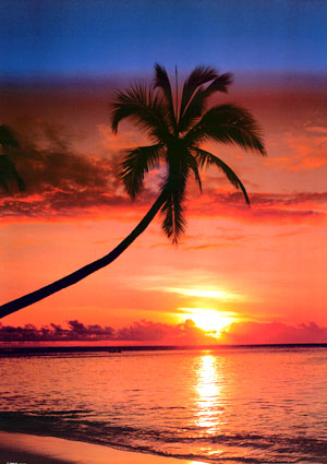 vacation