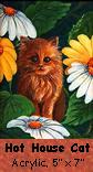 Hot House Cat