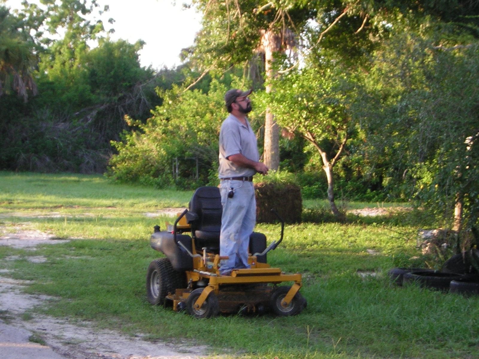 dennis06.jpg (1178 bytes)