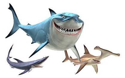 sharks