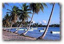 Los Mejores Resorts, Playas Y Mujeres