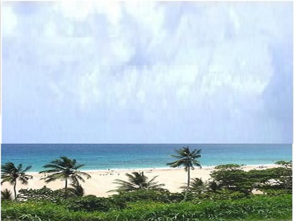 Los Mejores Resorts, Playas Y Mujeres