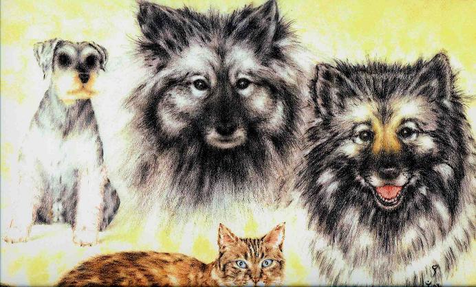 Pets
