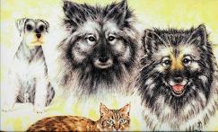pets
