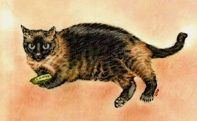Kitty