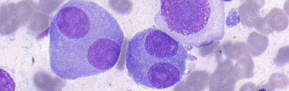 J.C. Prolla website ATLAS OF CYTOPATHOLOGY and CYTOLOGY