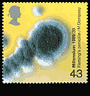 Alexander Fleming mould in petri dish.