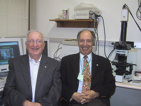 Alex Meisels and Prolla