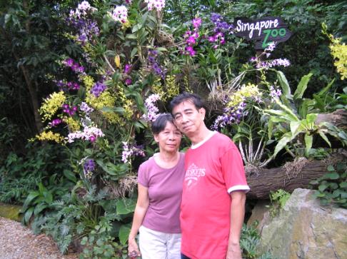 Exploring the Singapore Zoo