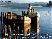 postal49.jpg