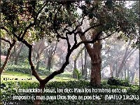 postal58.jpg