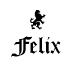 FELIX. palermo soho. bs as, argentina.