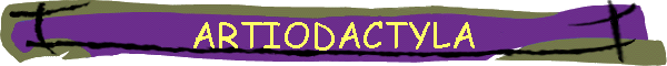 ARTIODACTYLA