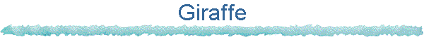Giraffe