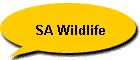 SA Wildlife