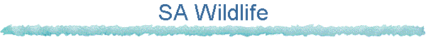 SA Wildlife