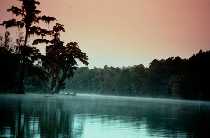 <Wetlands>