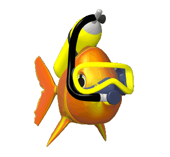 Learn to dive today! Sign-up NOW!!!