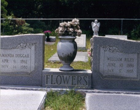 /user/Flowersamandawr.jpg