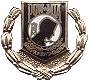POW Pin