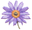 purpledaisy