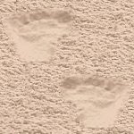 footprint