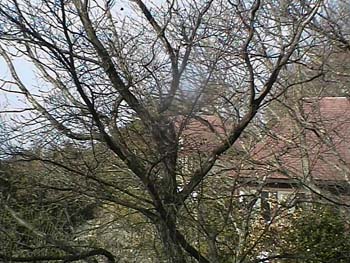 DVC00028