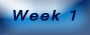 Week 1