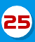 25