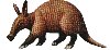 aardvark.jpg (2862 bytes)