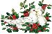 doves.jpg (3007 bytes)