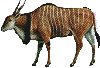 gianteland.jpg (3815 bytes)