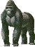 gorilla.jpg (2380 bytes)