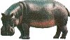 hippo.jpg (3082 bytes)