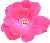 pinkrose.jpg (1583 bytes)