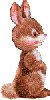 rabbit.jpg (2830 bytes)