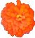 zinniaorange.jpg (1953 bytes)