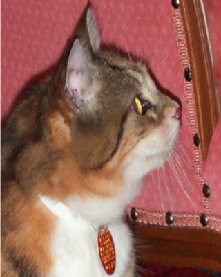 Colette dit �m�m�