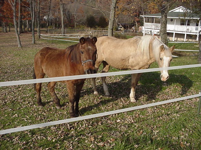 FRITZ&nbsp; & PEACHES