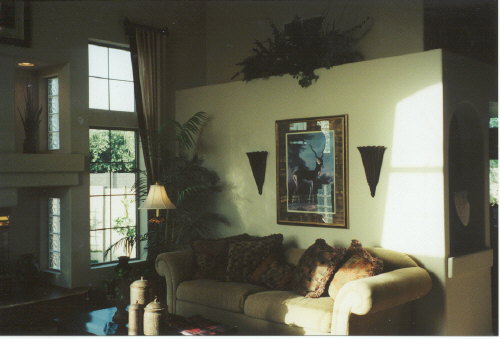 living2.jpg (35008 bytes)