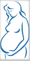 pg.gif (5382 bytes)