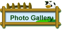 Photo Gallery