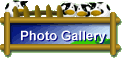 Photo Gallery