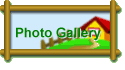 Photo Gallery