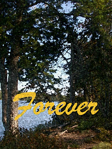 [Forever]