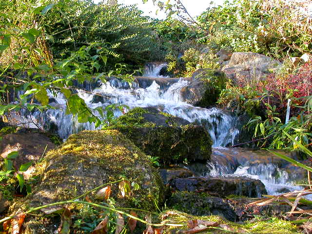 [Waterfall at the Botanic Gardens]