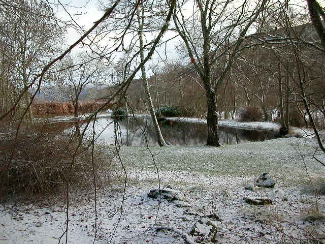 [Our first snowfall on the Winter Solstice]