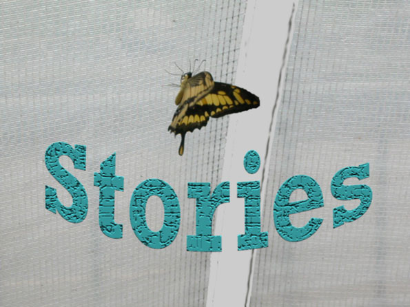 [Stories]